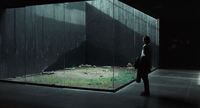 Memoria review by Cressa Maeve Beer: “Tilda collects different art-house directors like Pokémon.”