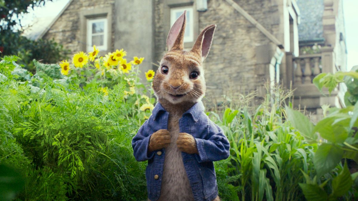 Peter Rabbit’ review by sugar_pink • Letterboxd