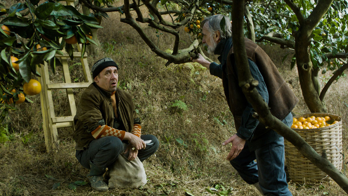 ‎Tangerines (2013) directed by Zaza Urushadze • Reviews, film + cast