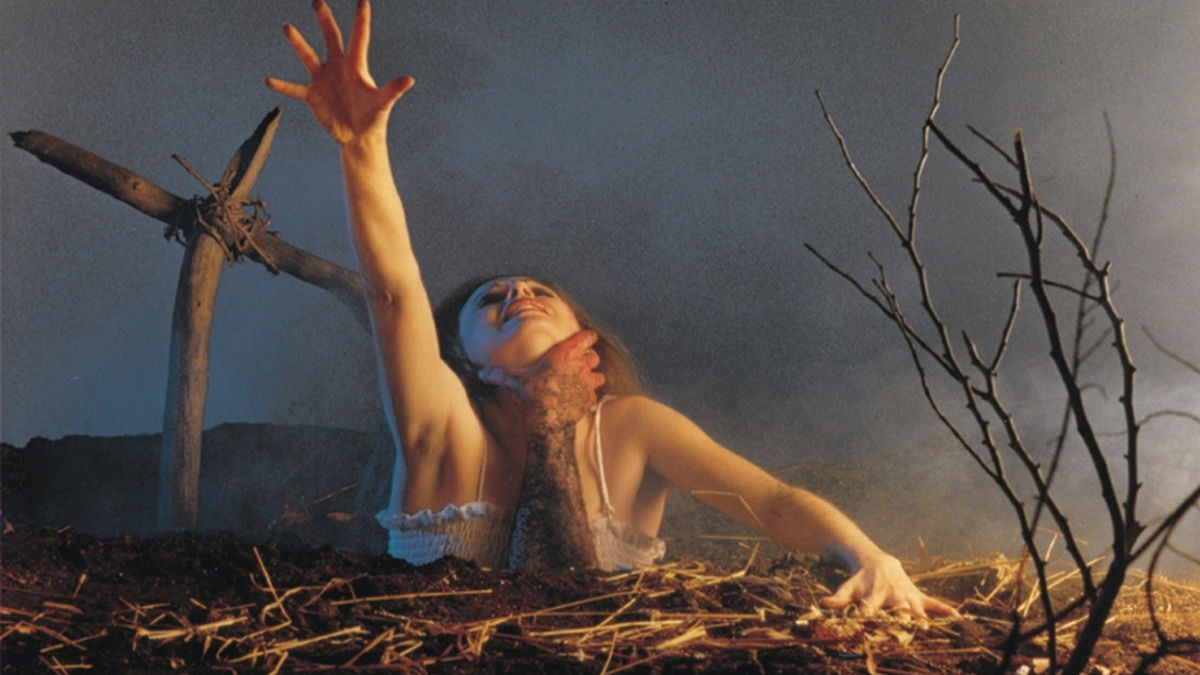 Letterboxd — Your life in film Review by Clinton Coddington