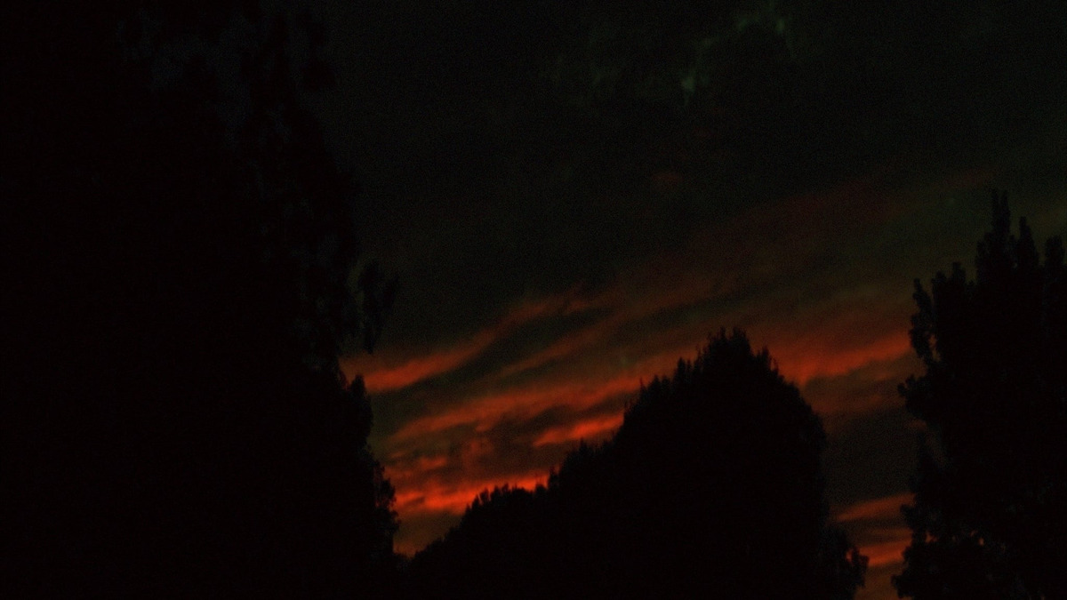 â žhinterlands 2016 Directed By Scott Barley â Reviews Film Cast