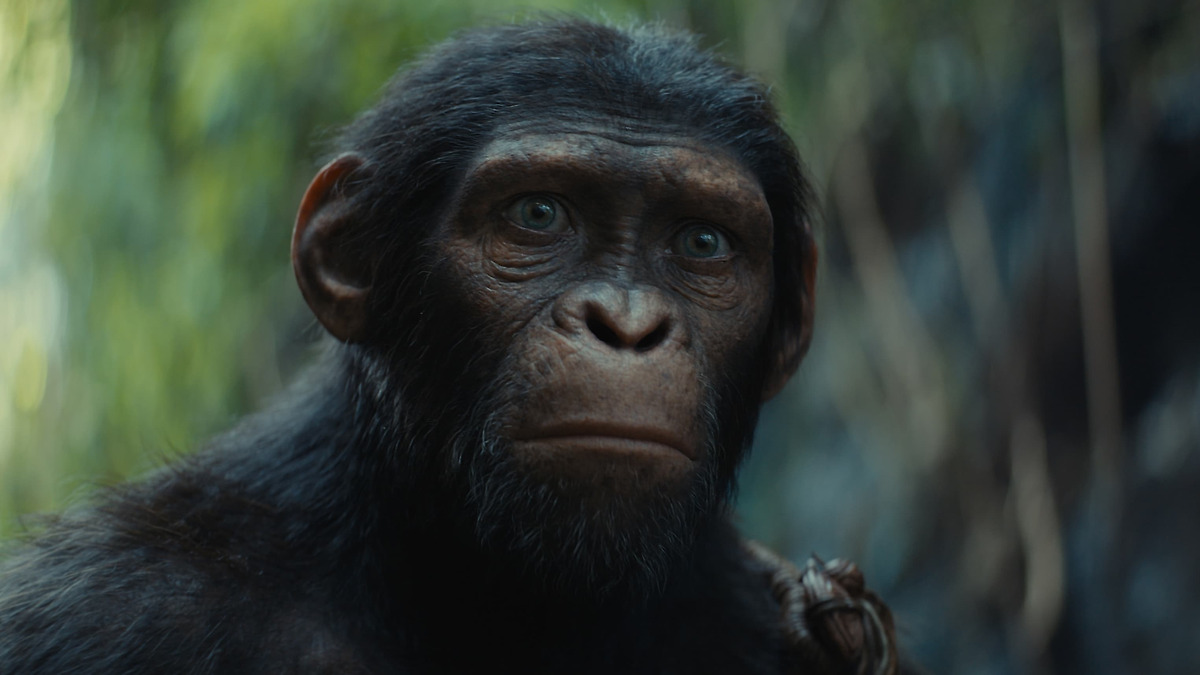 Kingdom of the of the Apes’ review by daisy • Letterboxd
