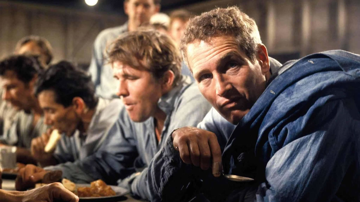 Stuart Rosenberg Cool Hand Luke (1967) directed by Stuart Rosenberg • Reviews, film ...
