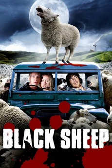 black sheep 2006
