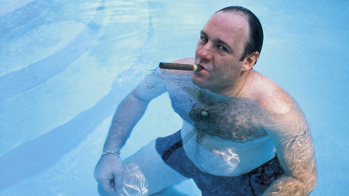 Wise Guy: David Chase and The Sopranos poster
