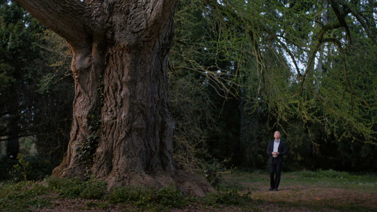 Silent Friend’ review by katrinsues • Letterboxd