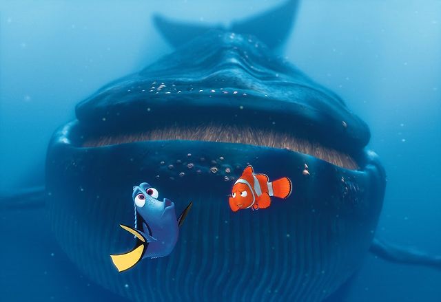 You can have a whale of a time Fndng Nmo. 
