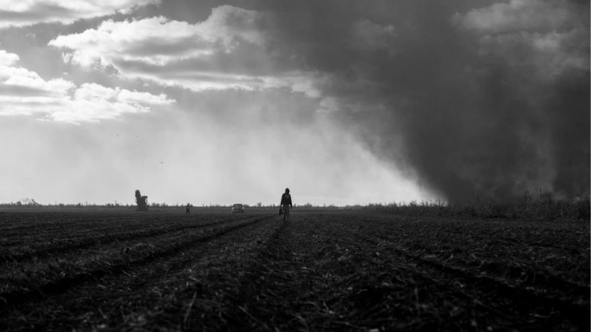 â žhierophany 2018 Directed By Kevin Contento â Reviews Film Cast