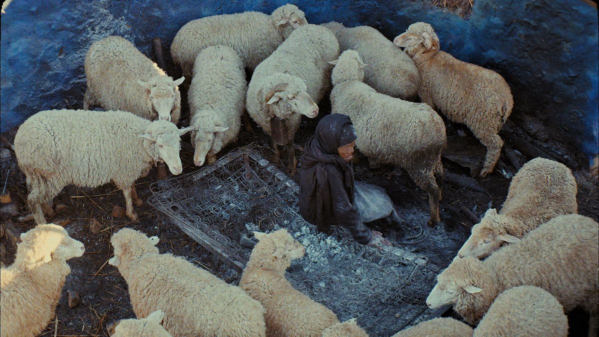 ‎This Is Not a Burial, It’s a Resurrection (2019) directed by Lemohang ...