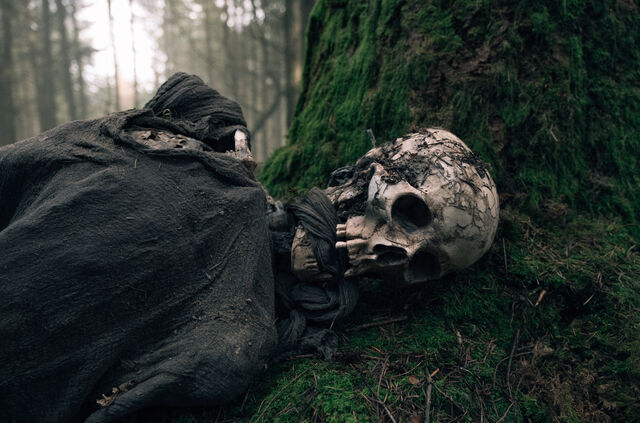 “I also love skeletons.” — Photographer… Eric Zachanowich