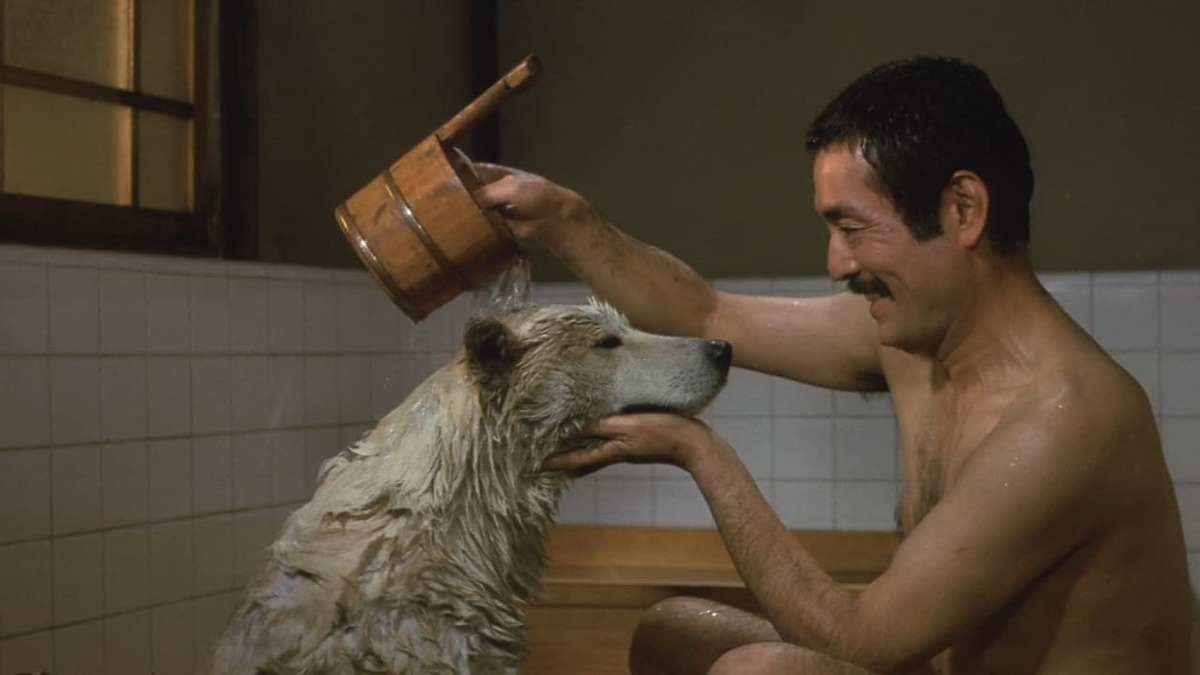 Hachiko (1987) directed by Seijiro Koyama • Reviews, film + cast • Letterboxd