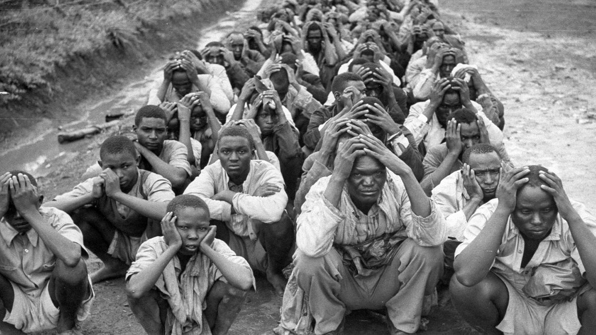 ‎Decolonisation (2020) directed by Karim Miské, Marc Ball et al ...