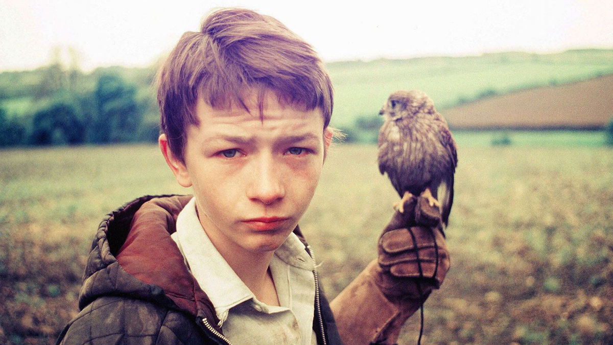 Kes Review By Bryn Roar Letterboxd kes-review-by-bryn-roar-letterboxd