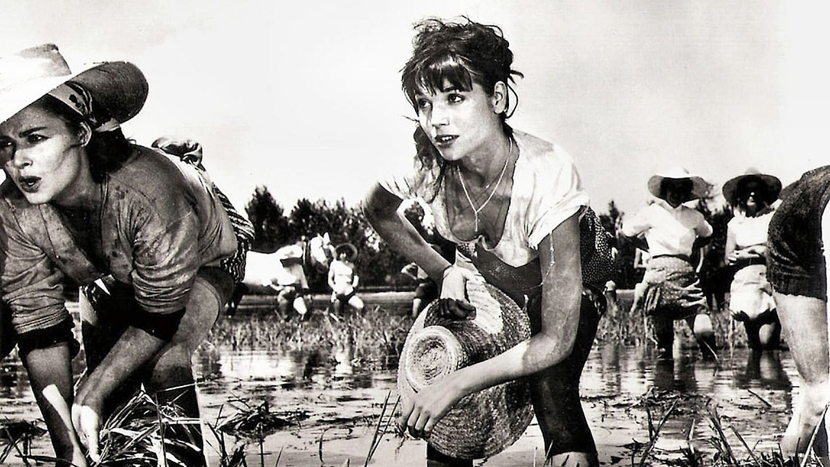 The Rice Movie Rice Girl (1956) directed by Raffaello Matarazzo • Reviews, film ...