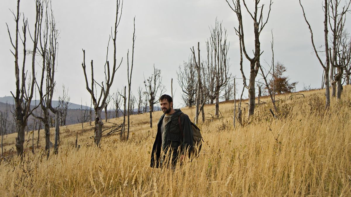 Father (2020) directed by Srdan Golubović • Reviews, film + cast • Letterboxd