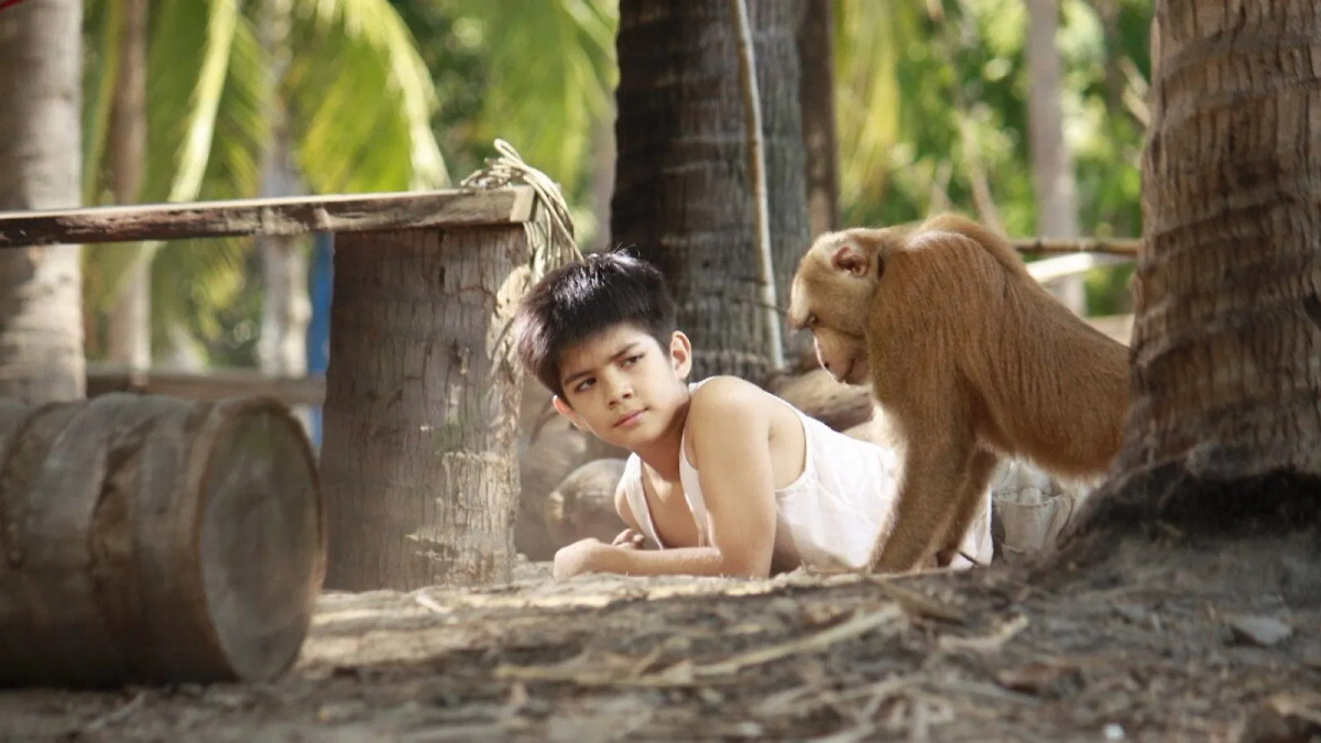 ‎Kapi (2010) directed by Nitivat Cholvanichsiri • Reviews, film + cast ...