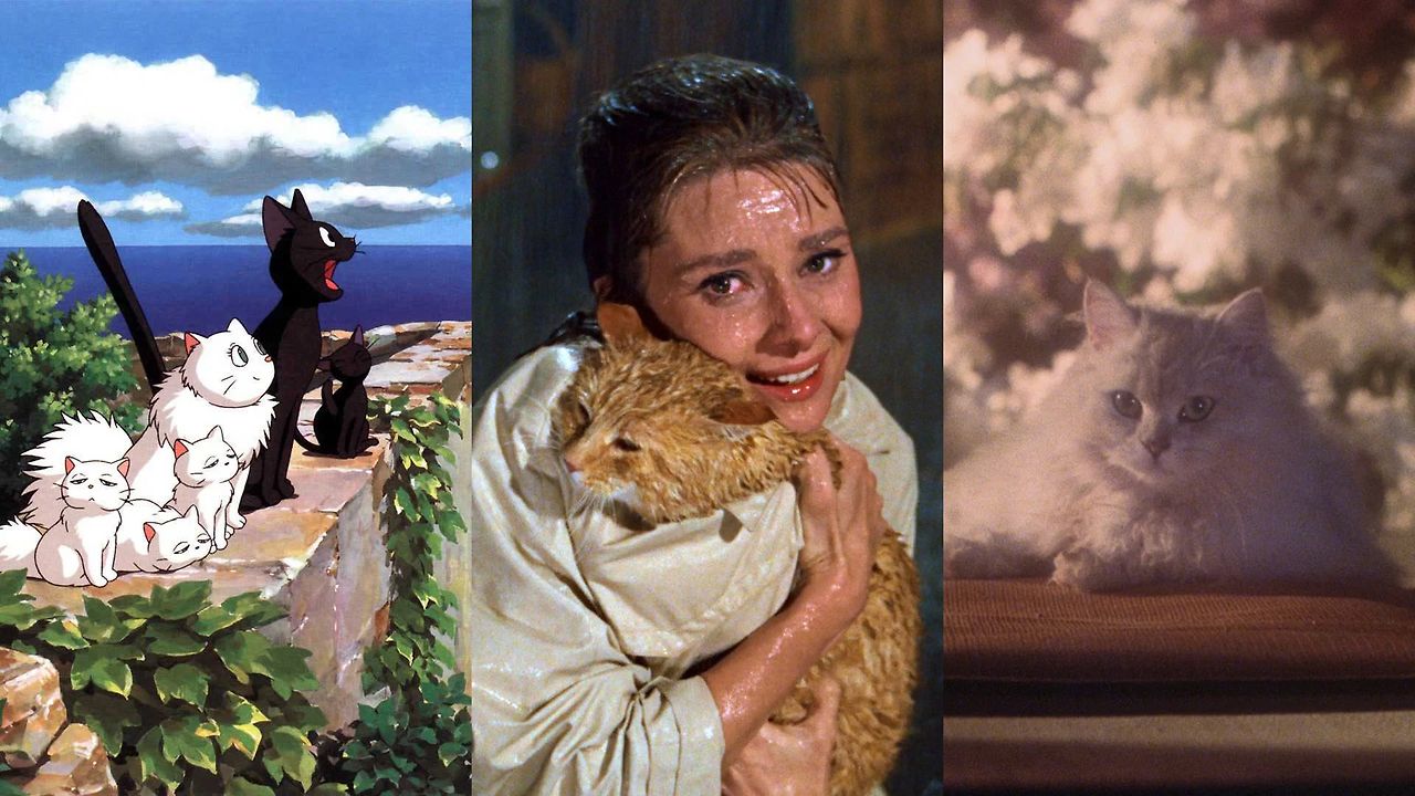 twenty fantastic film felines for International Cat Day • Journal • A Magazine • , Life in canada twenty fantastic film felines for International Cat Day • Journal • A Magazine • , Life in canada