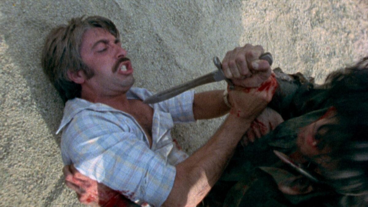 The Hills Have Eyes (1977) directed by Wes Craven • Reviews, film