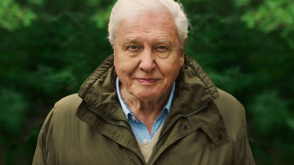 David Attenborough A Life On Our Planet Directed By Alastair Fothergill Keith Scholey Et Al Reviews Film Cast Letterboxd David Attenborough A Life On Our Planet Directed By Alastair Fothergill Keith Scholey Et Al Reviews Film Cast Letterboxd