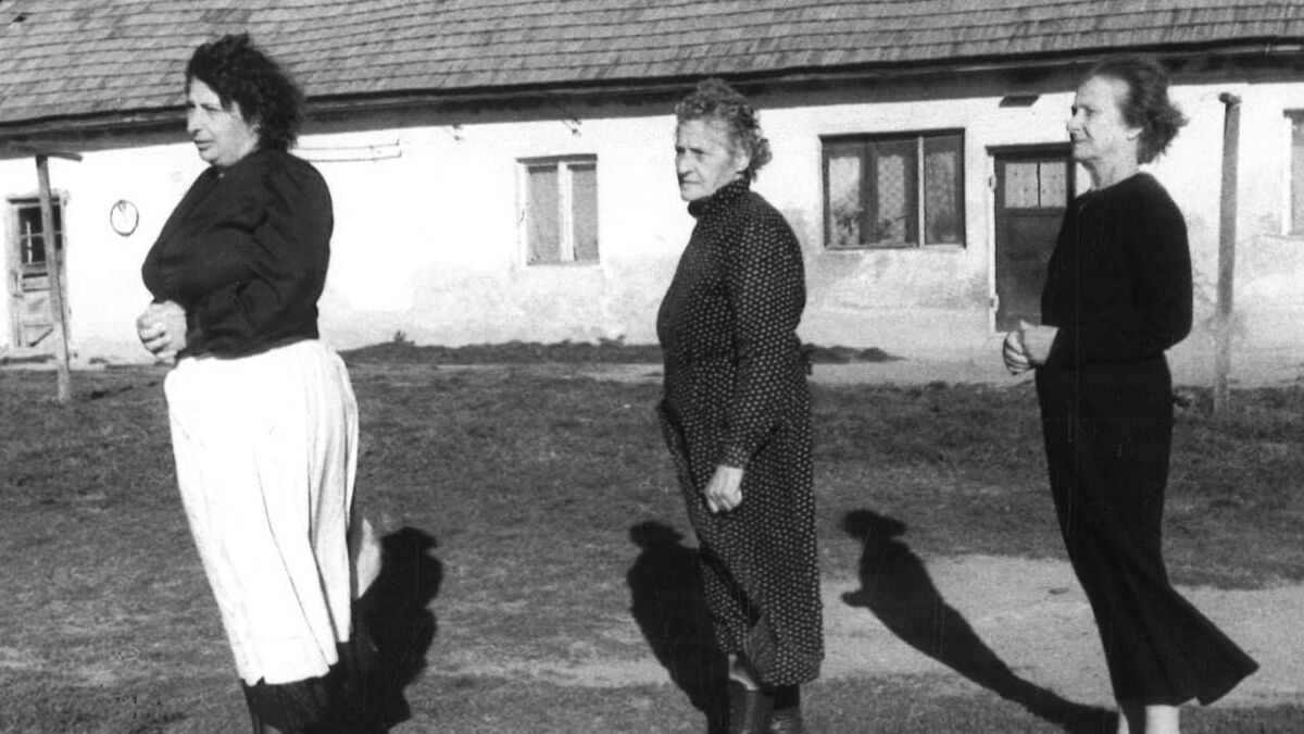 Wind (1996) directed by Marcell Iványi • Reviews, film + cast • Letterboxd