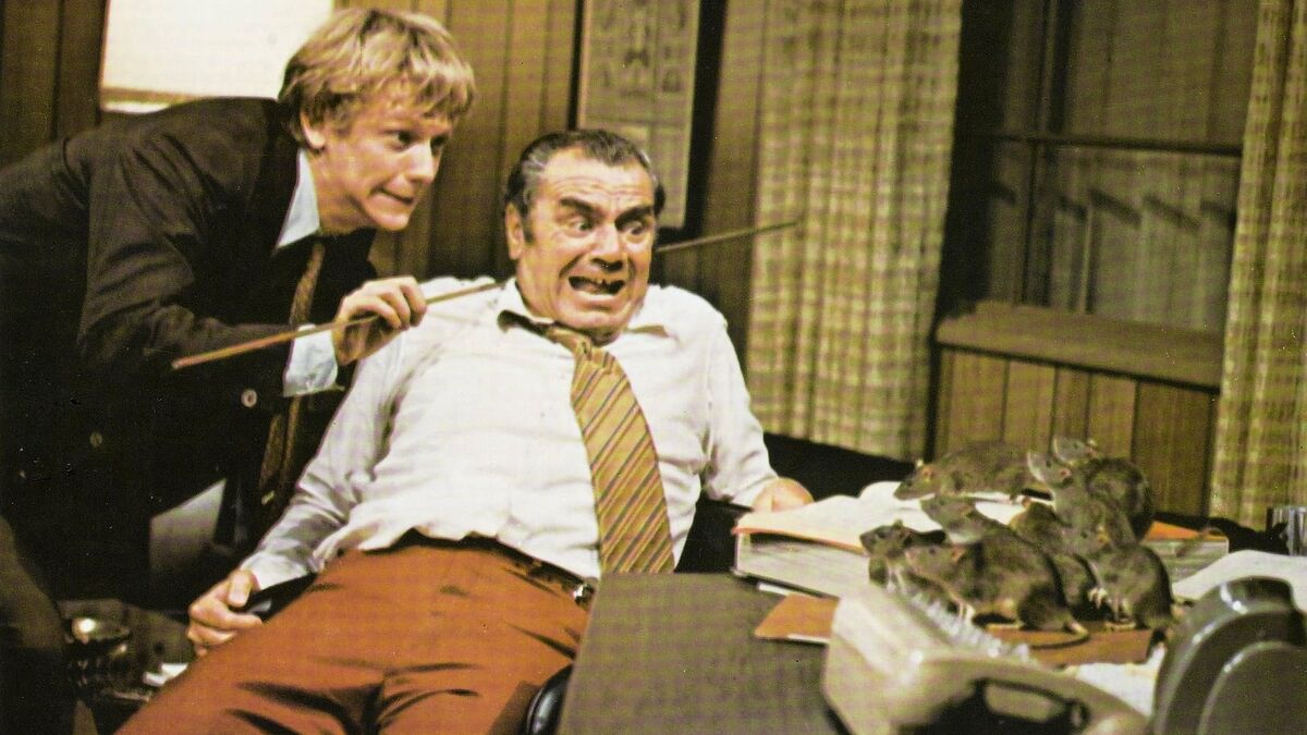 Willard (1971) directed by Daniel Mann • Reviews film   cast • Letterboxd Willard (1971) directed by Daniel Mann • Reviews film   cast • Letterboxd