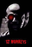 Poster for Twelve Monkeys (1995)