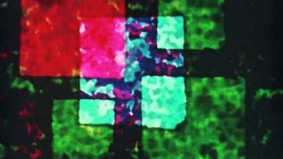 ‎Early Abstractions (1965) directed by Harry Smith • Reviews, film ...