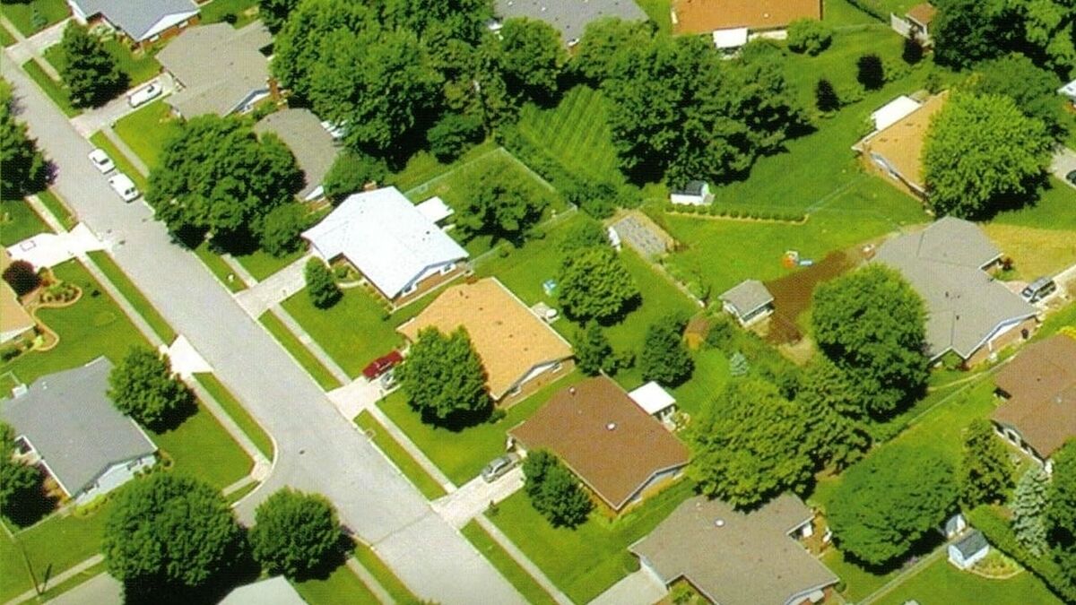 Les Voisins 1987 Directed By Micheline Guertin Reviews Film les-voisins-1987-directed-by-micheline-guertin-reviews-film