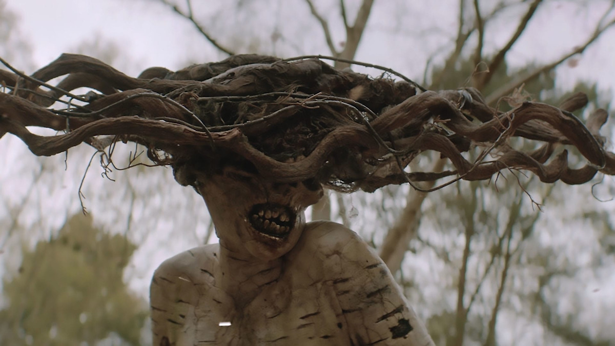 The Birch’ review by 𝕮𝕒ɭ♬𝚖𝖎☂𝒚 • Letterboxd