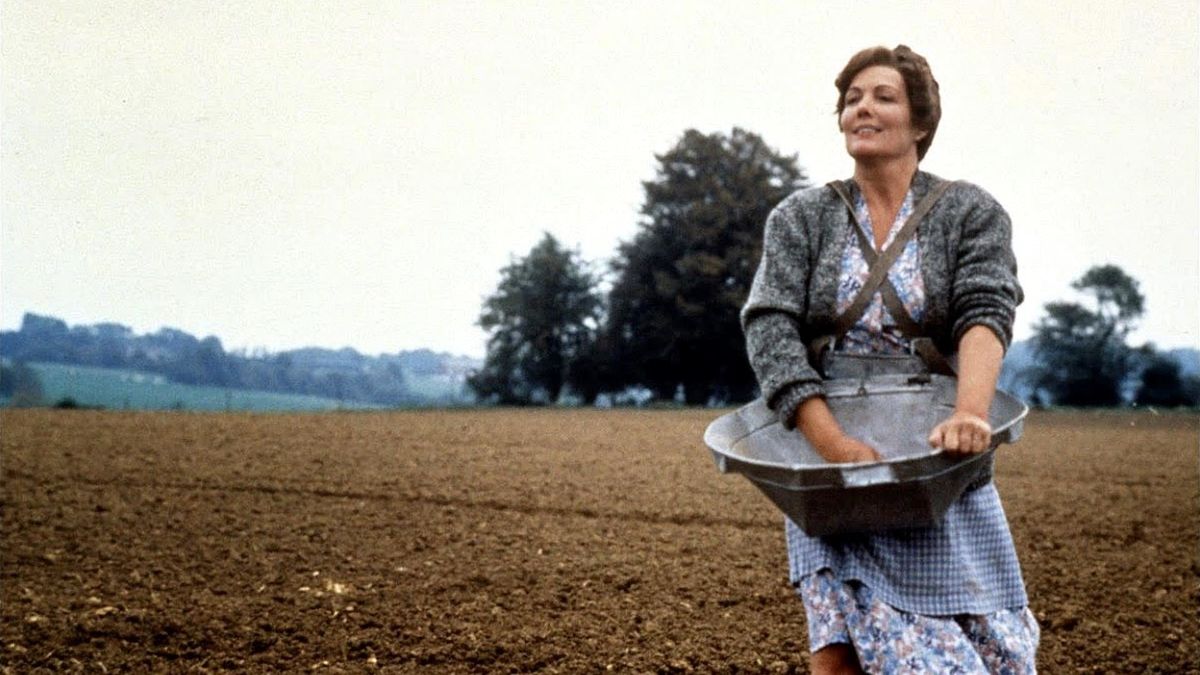 Letterboxd — Your life in filmAntonia's Line