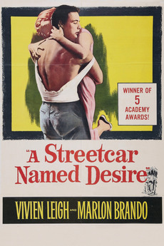 Essay streetcar named desire reality