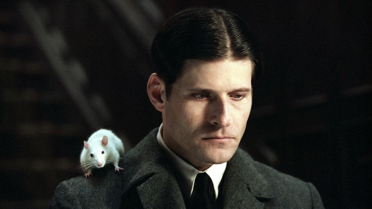 Willard (2003) directed by Glen Morgan • Reviews, film + cast • Letterboxd