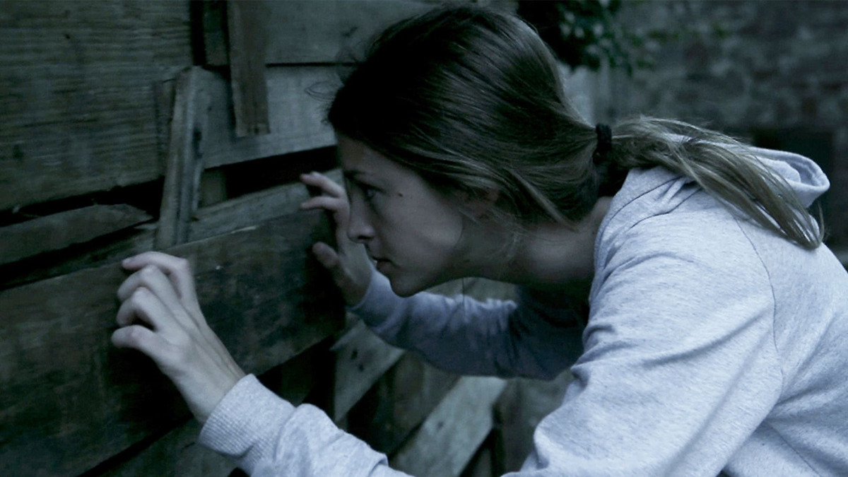 ‎The Silent House (2010) directed by Gustavo Hernández • Reviews, film