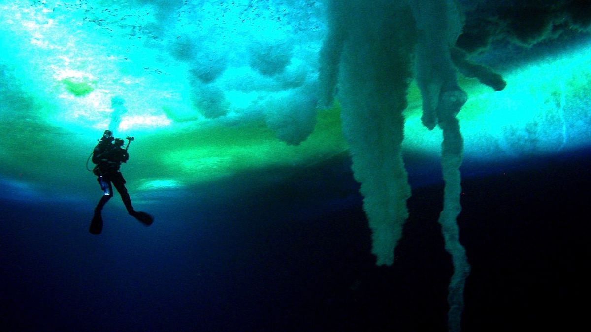 Encounters at the End of the World’ watched by T. Deniz Yeşilırmak ...
