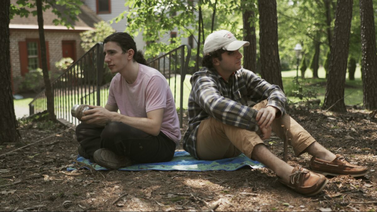 ‎Understory (2022) directed by Manny Rothman, Jake Rothman • Film ...