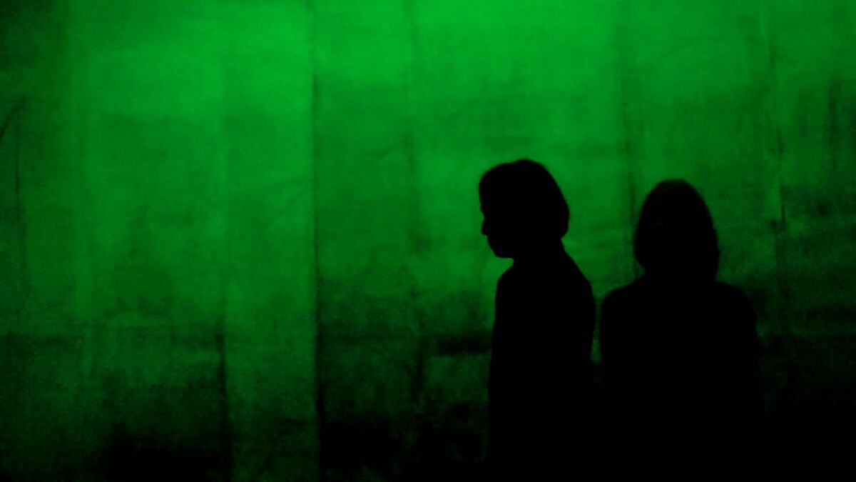 ‎The Cleaners (2018) directed by Hans Block, Moritz Riesewick • Reviews