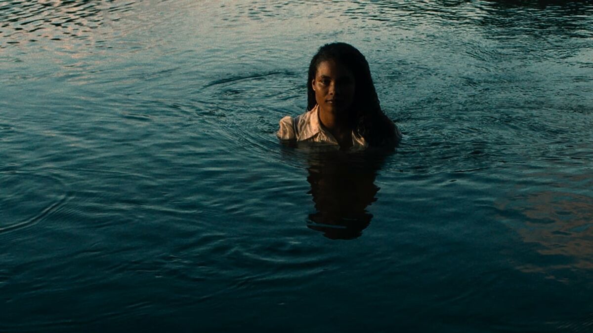 Tragic Jungle (2020) - Letterboxd