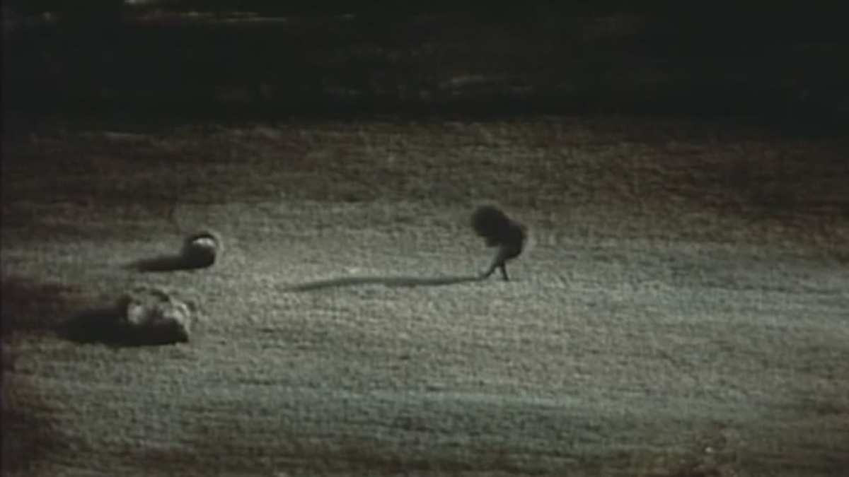 ‎Breakfast (1974) directed by Patrick Bokanowski • Reviews, film + cast ...