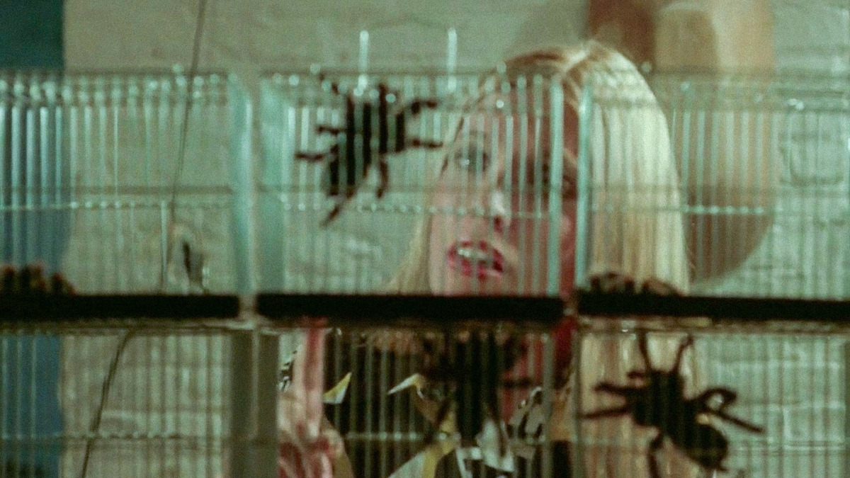 O Beijo da Tarântula : Um filme de terror de conteúdo juvenil que antecedeu os slashers