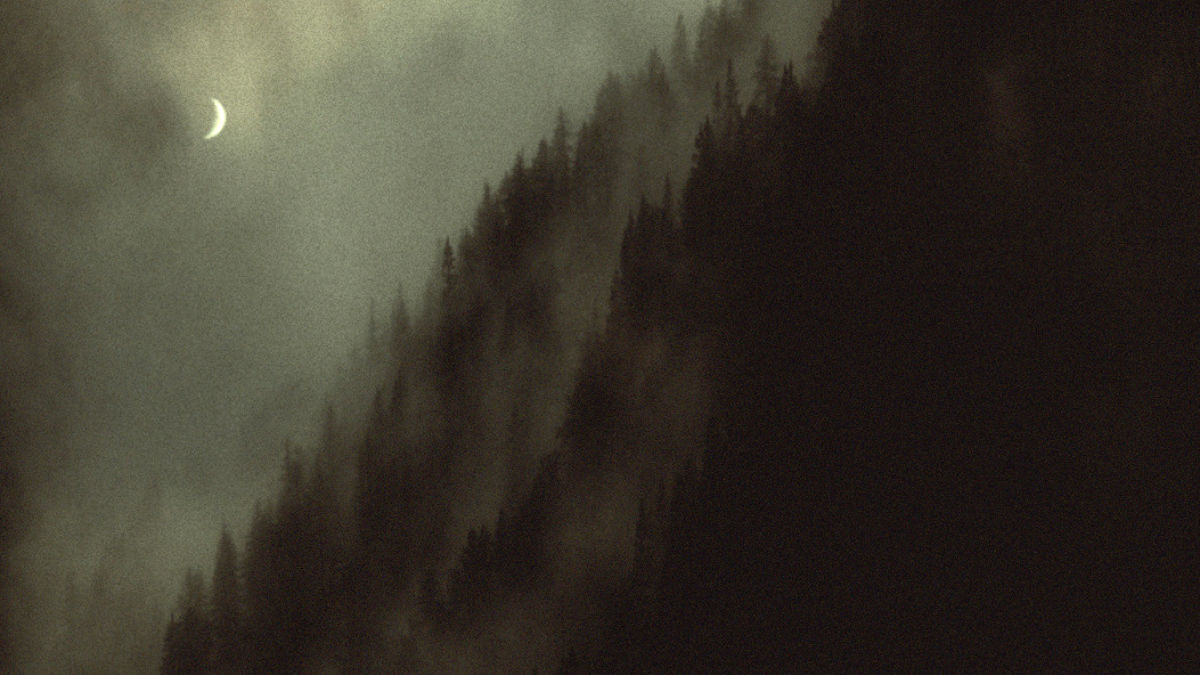 Sleep Has Her House’ review by ryan 🌙 • Letterboxd