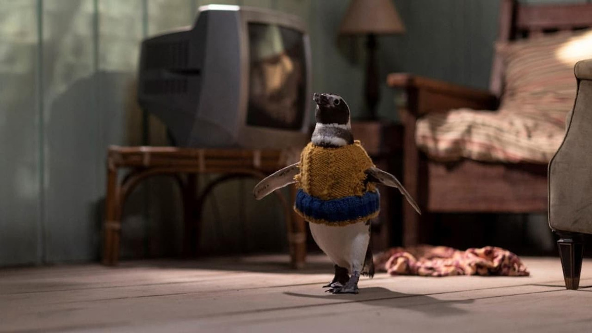 My Penguin Friend (2025) directed by David Schurmann • Reviews, film