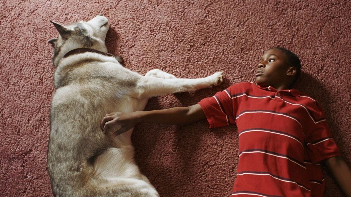 ‎Ballast (2008) directed by Lance Hammer • Reviews, film + cast