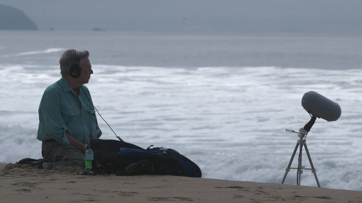 Making Waves The Art Of Cinematic Sound ‎Making Waves : The Art of Cinematic Sound (2019) directed by Midge