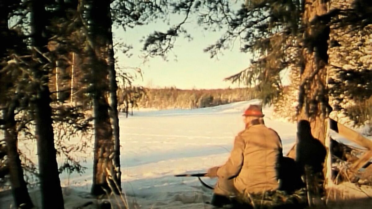 Lars Molin The Potato Seller (1996) directed by Lars Molin • Reviews, film + cast ...