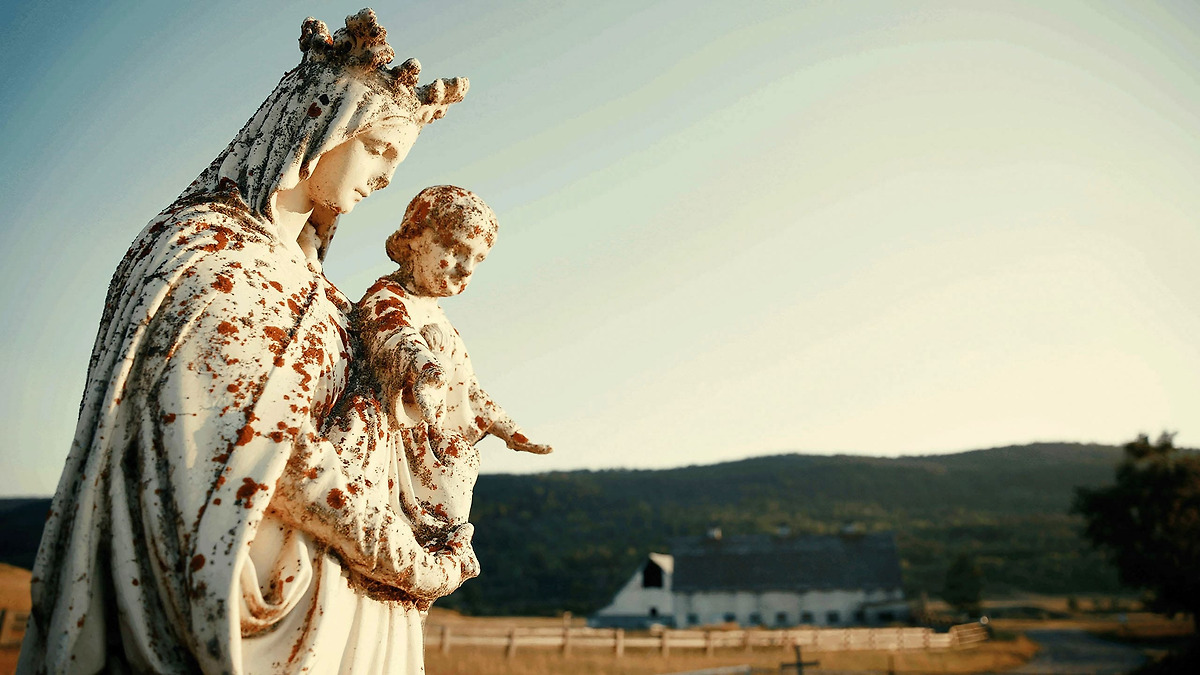 ‎Sugarcane (2024) directed by Emily Kassie, Julian Brave NoiseCat