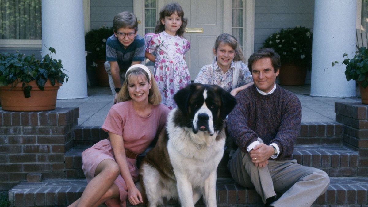 beethoven-1200-1200-675-675-crop-000000.jpg?v=1facc6644a