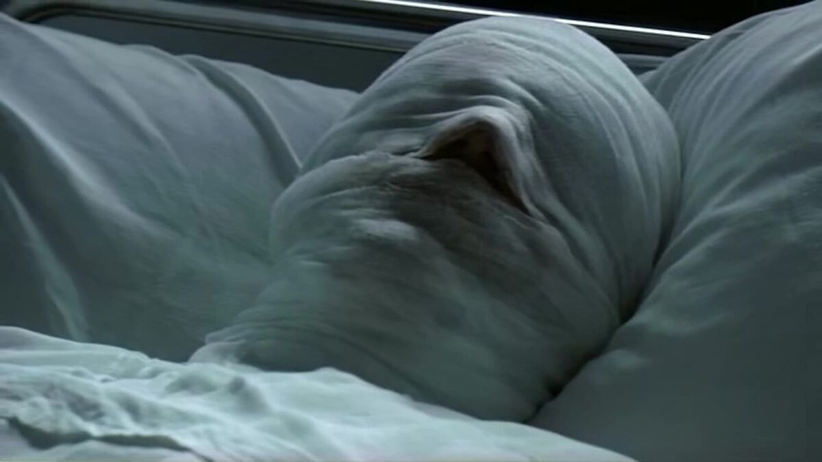 Dealer (2004) directed by Benedek Fliegauf • Reviews, film + cast