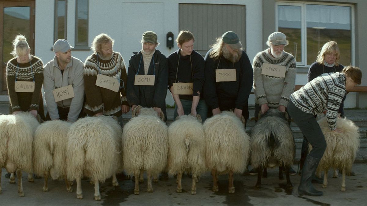 Rams (2015) directed by Grímur Hákonarson • Reviews, film + cast ...