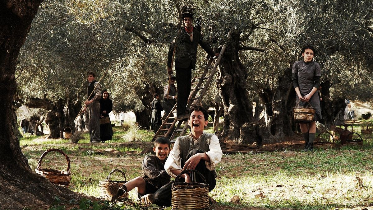 Baaria (2009) directed by Giuseppe Tornatore • Reviews, film + cast ...