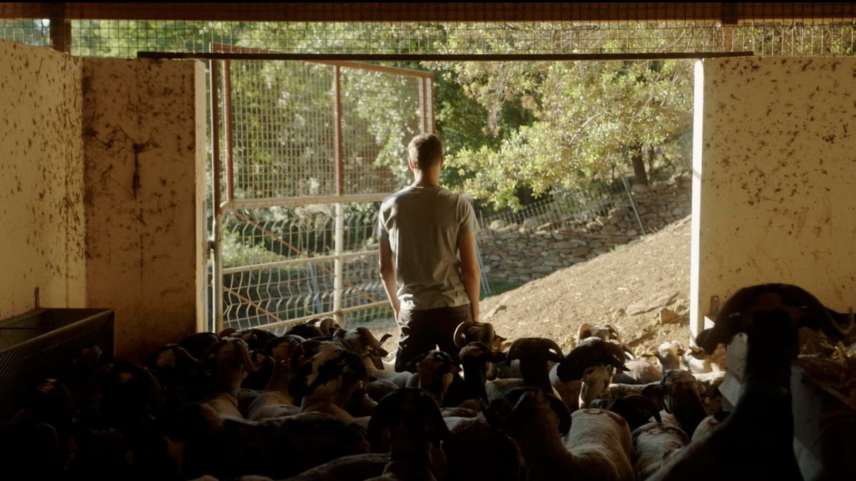 ‎Children of May (2022) directed by Dani Solaguren • Reviews, film ...